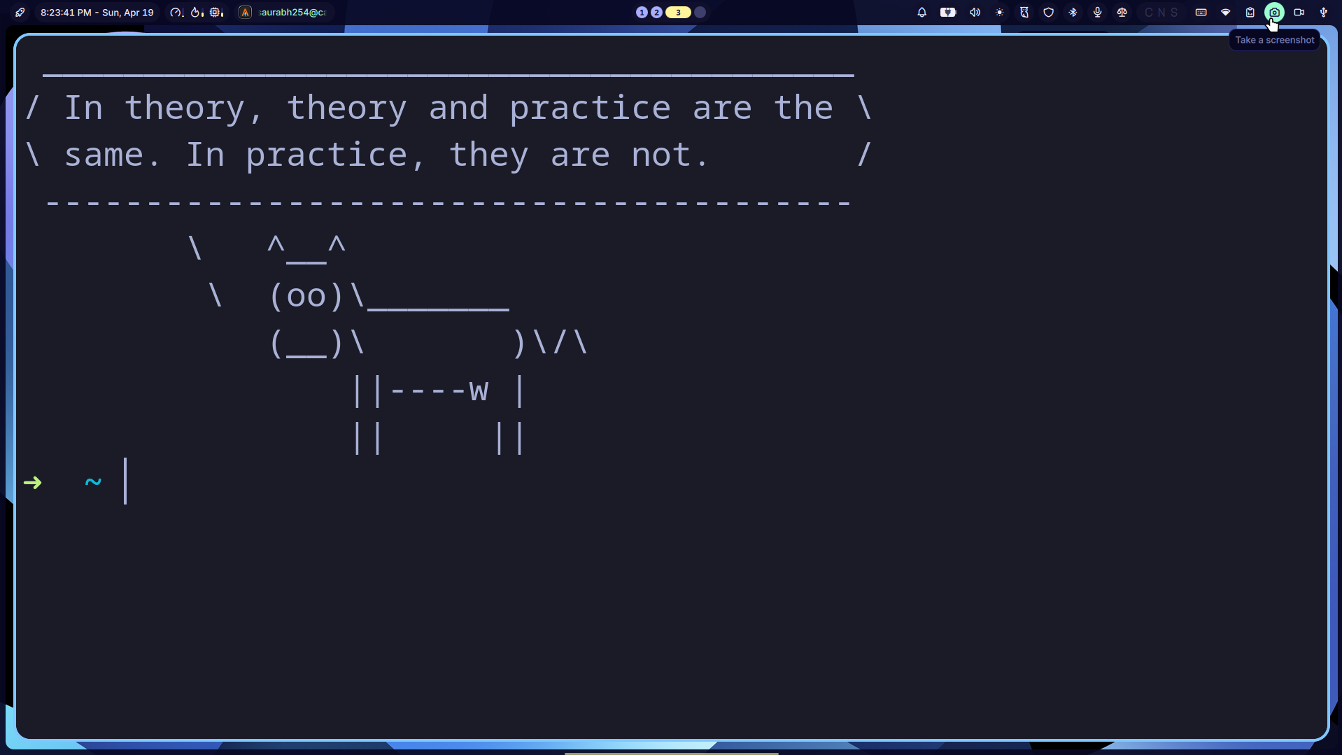 Terminal showing a cowsay quote about theory and practice